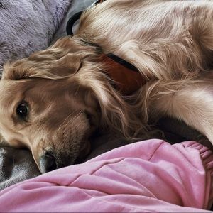 FEEL FREE TO MAKE ANY OFFERS ON ANYTHING